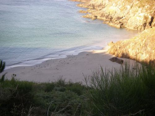 De Cee a Finisterre. 