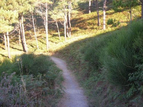 De Cee a Finisterre. 