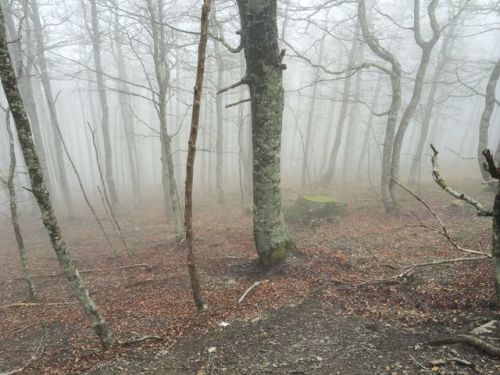 Sain-Jean-Pied-De-Port a Roncesvalles