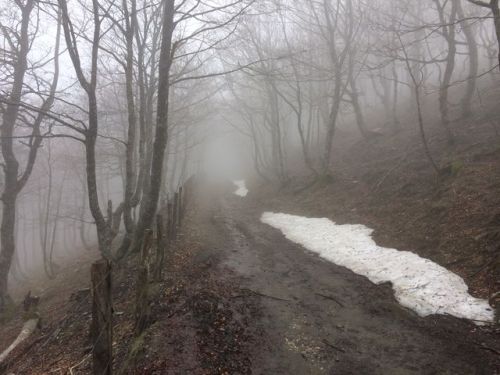 Sain-Jean-Pied-De-Port a Roncesvalles