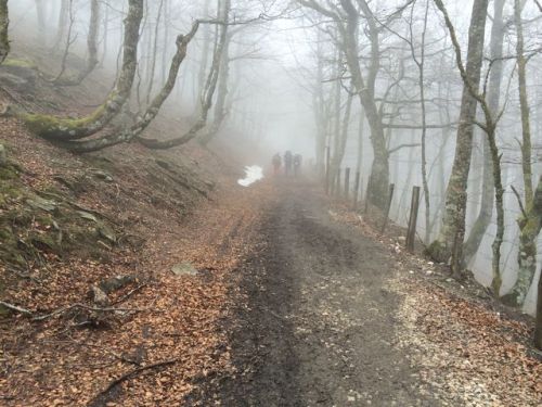 Sain-Jean-Pied-De-Port a Roncesvalles