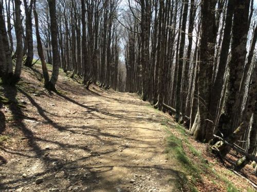 Sain-Jean-Pied-De-Port a Roncesvalles