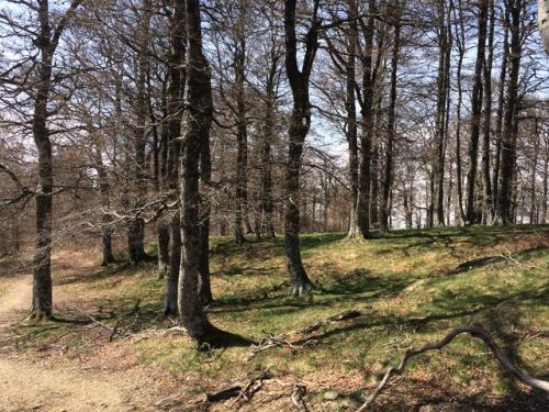 Sain-Jean-Pied-De-Port a Roncesvalles