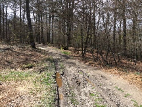 Sain-Jean-Pied-De-Port a Roncesvalles