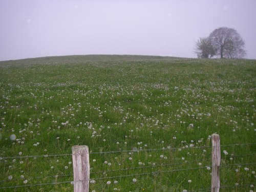 Sain-Jean-Pied-De-Port a Roncesvalles