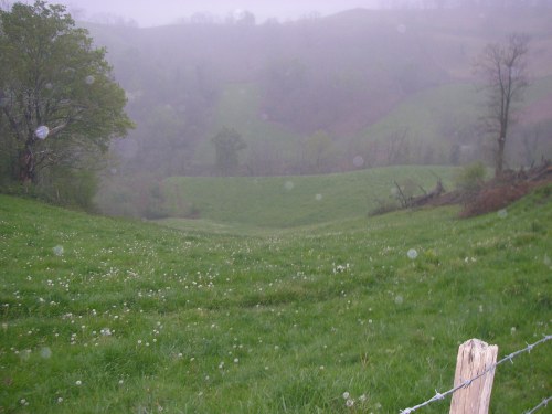 Sain-Jean-Pied-De-Port a Roncesvalles