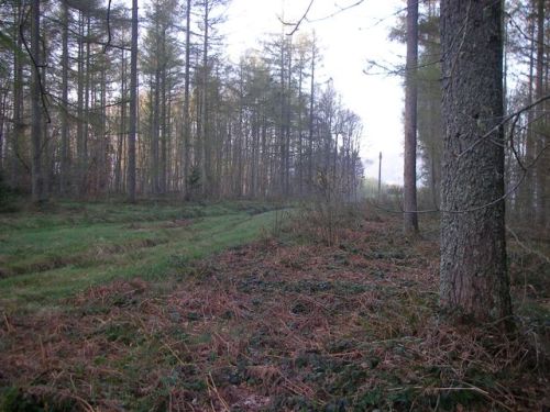 Etapa Roncesvalles a Zubiri