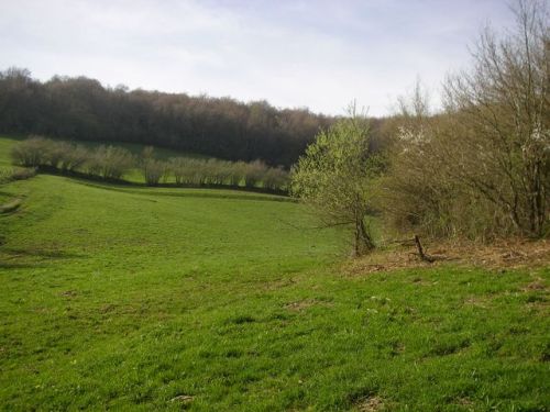 Etapa Roncesvalles a Zubiri