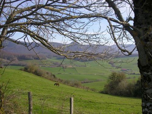 Etapa Roncesvalles a Zubiri