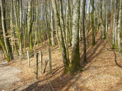 Etapa Roncesvalles a Zubiri