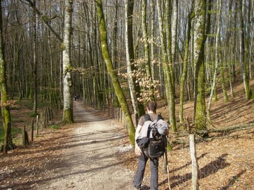 Etapa Roncesvalles a Zubiri