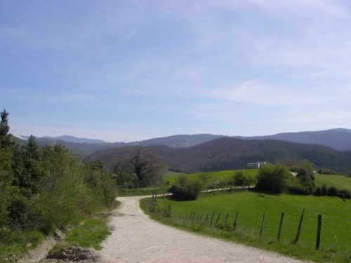 Etapa Roncesvalles a Zubiri