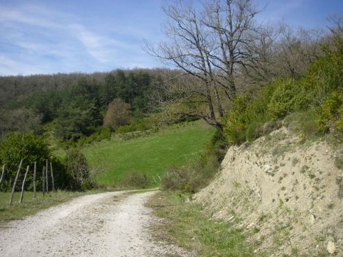 Etapa Roncesvalles a Zubiri