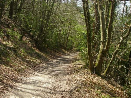 Etapa Roncesvalles a Zubiri