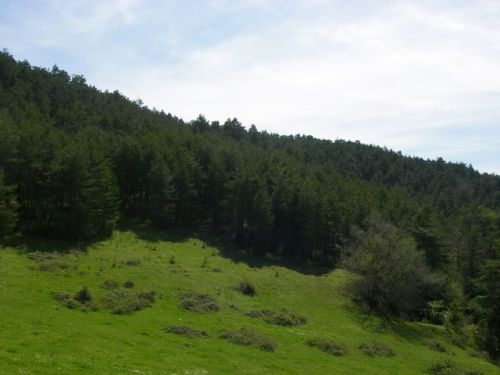 Etapa Roncesvalles a Zubiri
