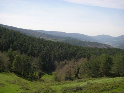 Etapa Roncesvalles a Zubiri