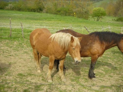 De Zubiri a Pamplona