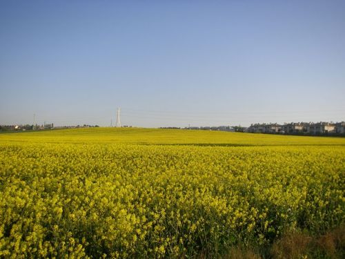 De Zubiri a Pamplona