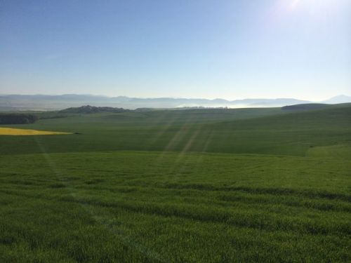Camino a Puente de la Reina