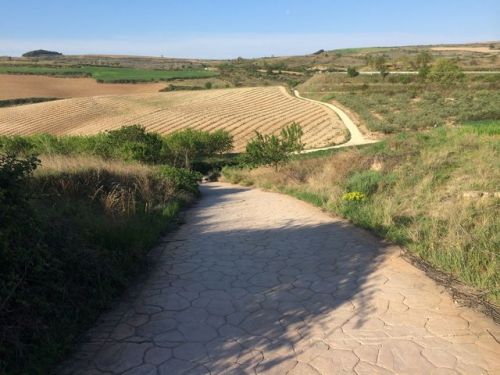 Camino a Logroño