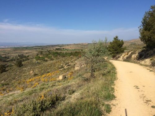Camino a Logroño