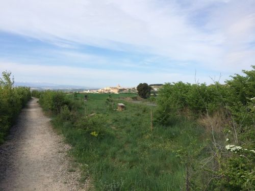 Camino a Logroño
