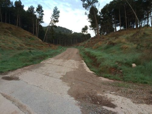 Camino a Santo Domingo de la Calzada.