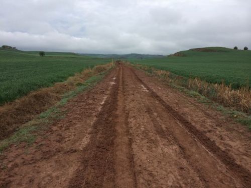 Camino a Santo Domingo de la Calzada.