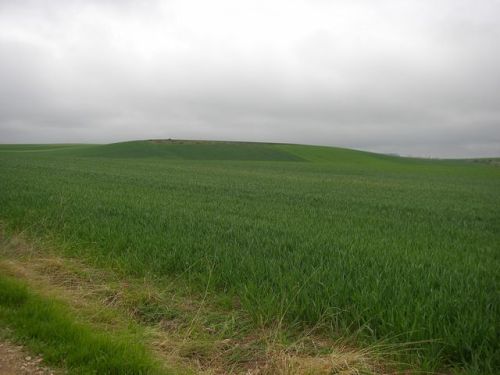 Camino a Santo Domingo de la Calzada.