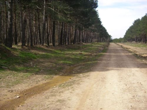 Montes de Oca. San Juan de Ortega