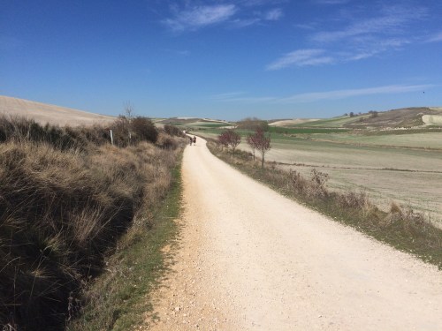 Camino de Burgos a Hontanas