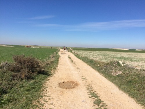 Camino de Burgos a Hontanas