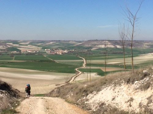 Camino de Burgos a Hontanas