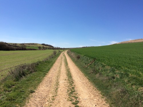 Camino de Burgos a Hontanas