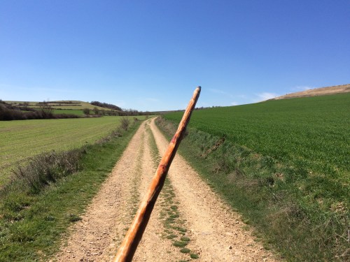 Camino de Burgos a Hontanas