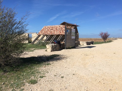 Camino de Hontanas a Fromista