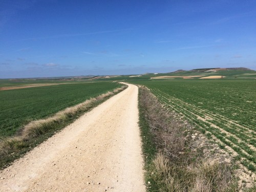 De Hontanas a Fromista.