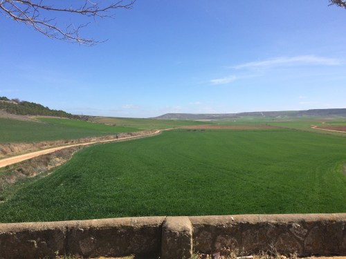 De Hontanas a Fromista.