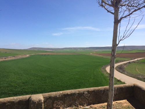 De Hontanas a Fromista.