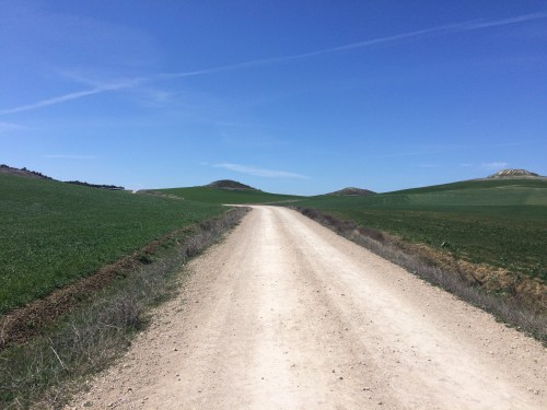Camino de Hontanas a Fromista
