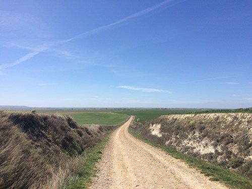 Camino de Hontanas a Fromista