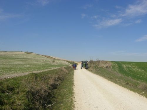 Camino de Burgos a Hontanas