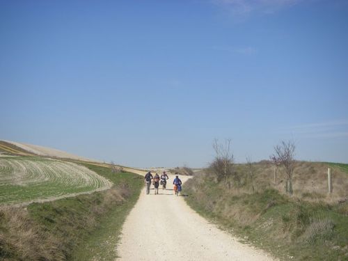 Camino de Burgos a Hontanas