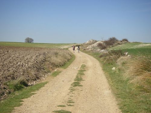 Camino de Burgos a Hontanas