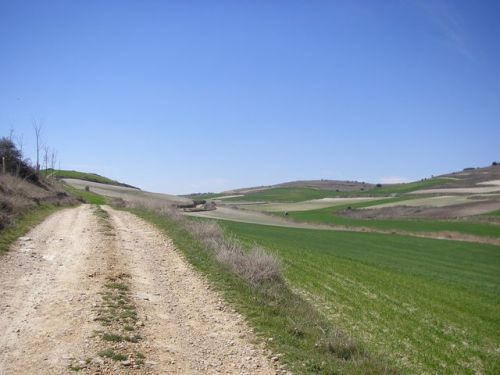 Camino de Burgos a Hontanas