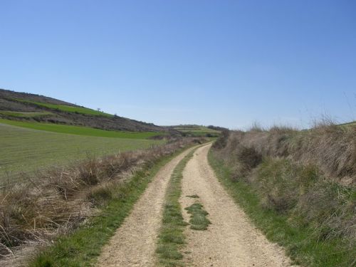 Camino de Burgos a Hontanas
