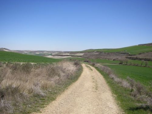 Camino de Burgos a Hontanas