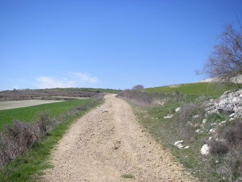Camino de Burgos a Hontanas