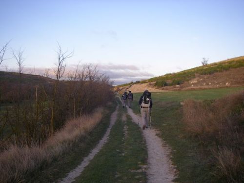 Camino Hontanas - Fromista