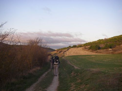 Camino Hontanas - Fromista